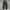 The Shinzone Tokyo JPN longpants olive green, Slim Straight  photo 3