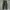 The Shinzone Tokyo JPN longpants olive green, Slim Straight  photo 6