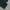 Wego relaxed longpants dark green, Regular Straight Fit photo 8