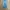 CELANA DENIM JEANS LEVIS 501