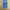 CELANA DENIM JEANS LEVIS 501 photo 2