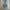 CELANA DENIM JEANS LEVIS 501 photo 1