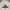 Adidas Vintage Skater Windbreaker Pria white photo 6