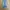 CELANA DENIM JEANS LEVIS 501 photo 1