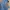 CELANA DENIM JEANS LEVIS 501 photo 6