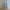CELANA DENIM JEANS LEVIS 501 photo 2