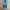 CELANA DENIM JEANS LEVIS 501 photo 2