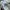 VANS AUTHENTIC LUX LEATHER “ALL WHITE” photo 7