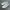 VANS AUTHENTIC LUX LEATHER “ALL WHITE” photo 1