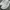 VANS AUTHENTIC LUX LEATHER “ALL WHITE” photo 3