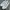VANS AUTHENTIC LUX LEATHER “ALL WHITE” photo 5