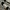 VANS OLD SKOOL STYLE 36 ANAHEIM “LEOPARD” photo 2