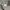 Areuban Double Zipper Blouson Jacket  photo 5