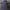 Jersey Lecoq Sportivo Fullblack photo 1