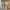 Outer photo 2