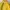 2000’s Nike acg tractope nike acg yellow photo 6