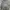 ined by yohji yamamoto trucker denim jacket jeans levis photo 2