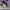 AIR JORDAN 1 RETRO HIGH OG BLACK GYM photo 3