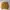 1968’s hard rock band golden yellow Hodieboxy photo 4