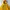 90’s Vintaghe Russel Athletic Hodie Rocky Mountain Yellow 