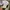 fatigue longpants cone japanese brand photo 4