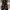 Boots Bottega Veneta  photo 1