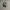 VANS WARD BLACK MENS TRAINERS photo 2