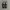 VANS AUTENTIC CHECKERBOARD BLACK WHITE photo 4