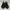 Puma Suede Platform trace black photo 2