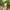 Vest rompi fly fishing water skeeter size XXL kanvas photo 6
