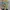 One Piece Volume 92 – 100% BARU Dan Masih Segel (Elex Media)