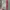 One Piece Volume 92 – 100% BARU dan Masih Segel (Elex Media) photo 2
