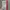 One Piece Volume 92 – 100% BARU Dan Masih Segel (Elex Media)