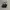 VANS SK8 HIGH COMFYCUSH BLACK WHITE photo 4
