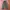 Spraypremium military cargopants photo 1