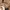 Beige Cotton Knit Crop Top photo 3