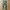 Japanese faded basic jeans photo 5