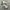 Onitsuka Tiger Mexico 66 Deluxe Leather Cream Black photo 1