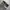 Converse Chuck Taylor All Star photo 1