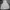 Windbreaker Jacket Fila White photo 2