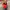 Y2K Sportswear Jersey Wanita white red photo 2