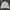 Casual Windbreaker Pria White Cream