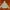 Find Out Tech Zip Hoodie photo 2