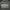 Avirex Kanvas Jacket Military M65 photo 6