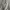 Schott 1949 Vintage USA Military Jacket  Reversible Tipe MA- photo 2