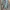 Schott 1949 Vintage USA Military Jacket  Reversible Tipe MA- photo 1