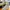 Louis Vuitton Trainers
High Top Sneakers Grey photo 1