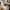 Louis Vuitton Trainers
High Top Sneakers Grey photo 4