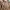 SLIT TUNIK THENBLANK photo 1