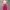 Rok wanita photo 1